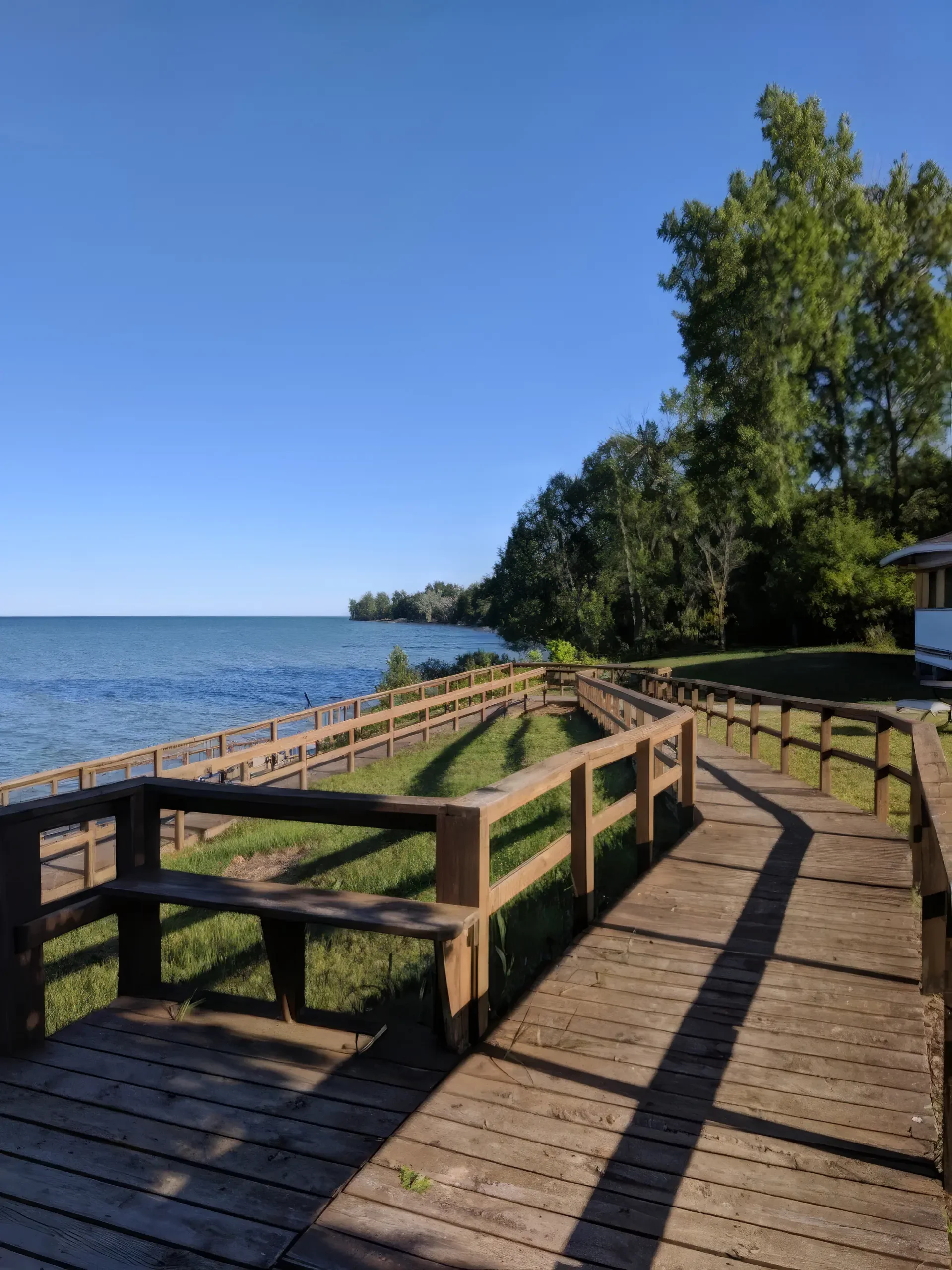 Forester Park