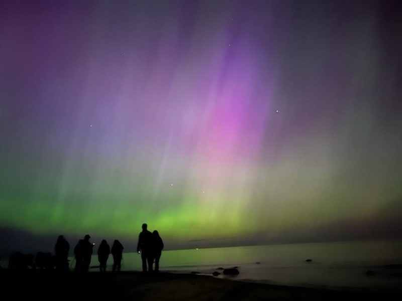 Silhouettes of people watching the Northern Lights with vibrant green and purple hues in the sky over Lake Huron at Lexington Park.