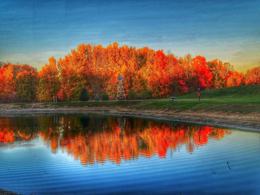 Trees with vibrant orange and red autumn foliage reflected in a calm pond with a windmill visible among the trees at Evergreen Park