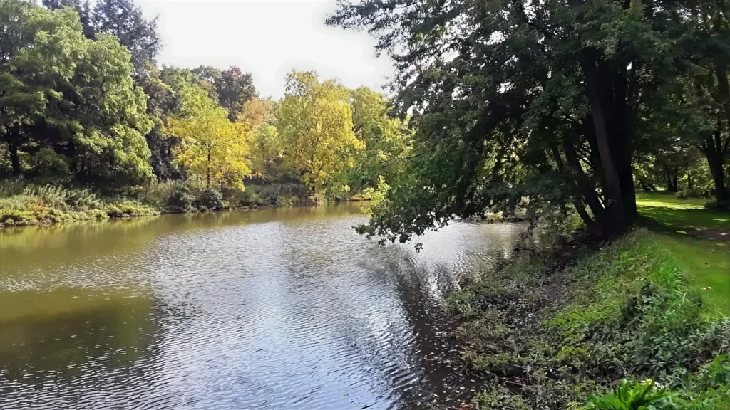Cass River at Evergreen Park