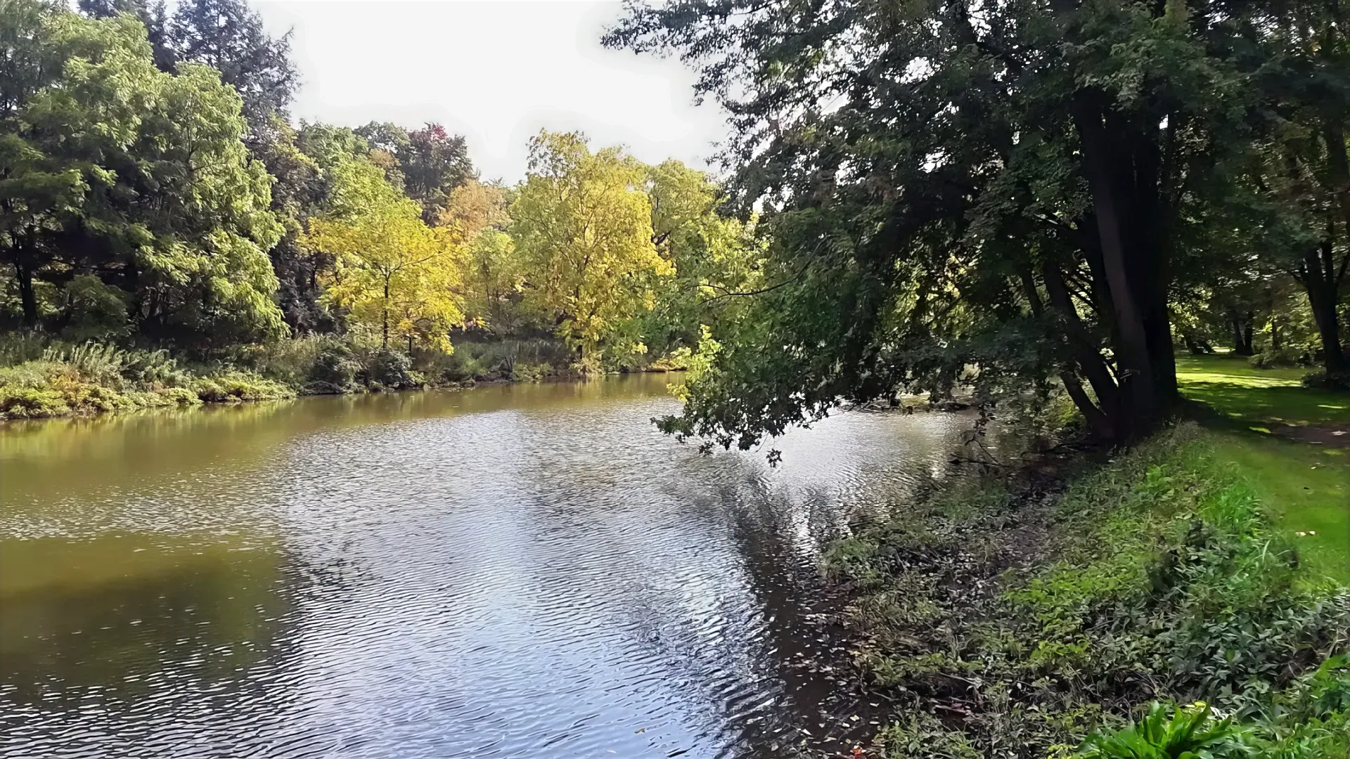 Cass River surrounded by trees Cass River at Evergreen Park