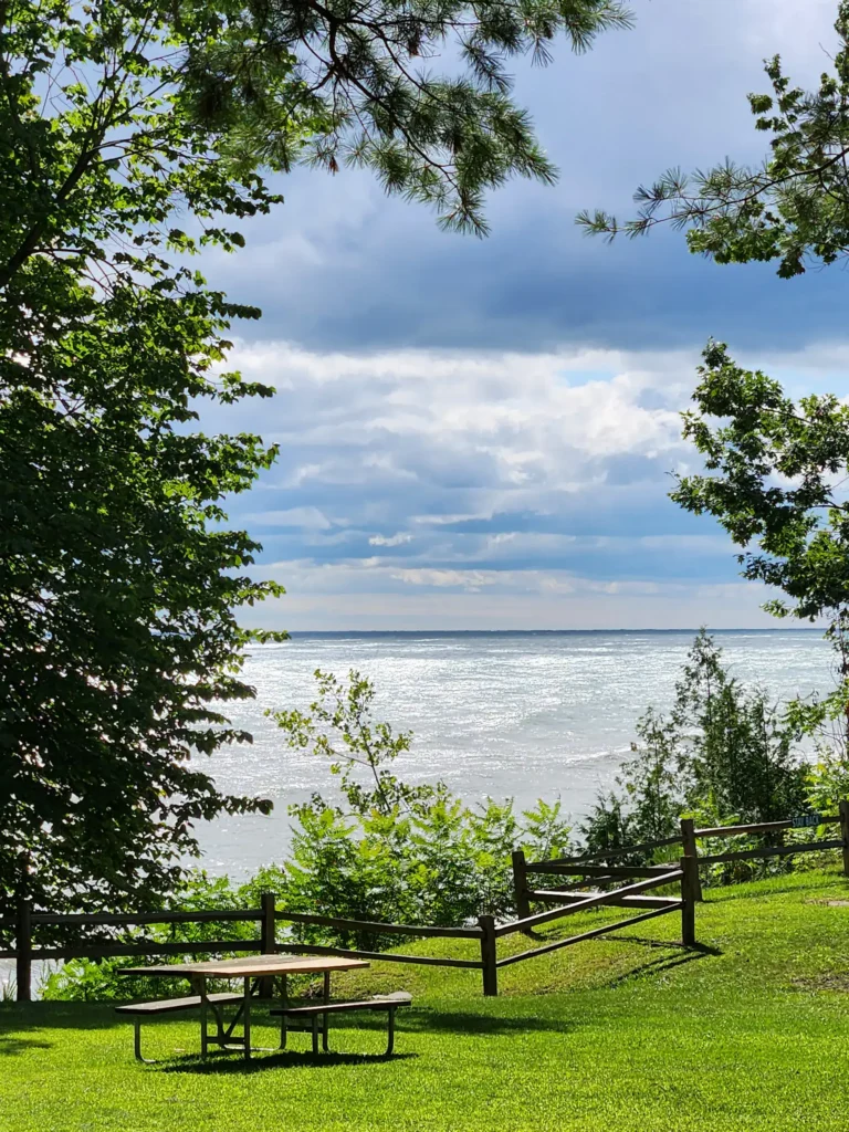 Picnic table on a grassy lawn overlooking a shimmering Lake Huron, framed by trees under a partly cloudy sky at Lexington Park